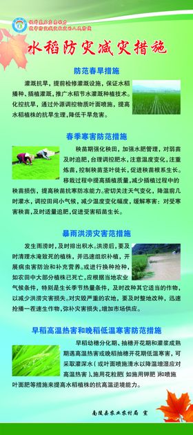 水稻防灾减灾措施