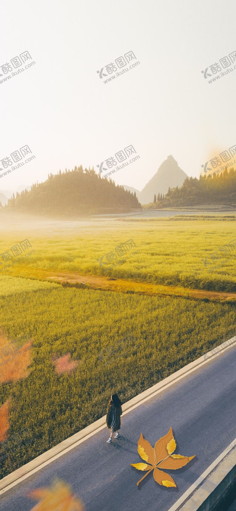 编号：66578909200126288818【酷图网】源文件下载-立秋处暑手机刷屏帖