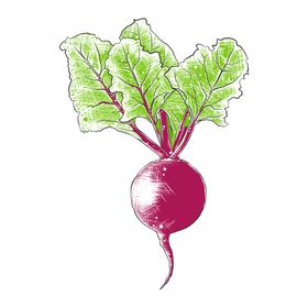 蔬菜素描