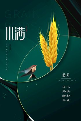 小满立夏节气暑金属麦子广告