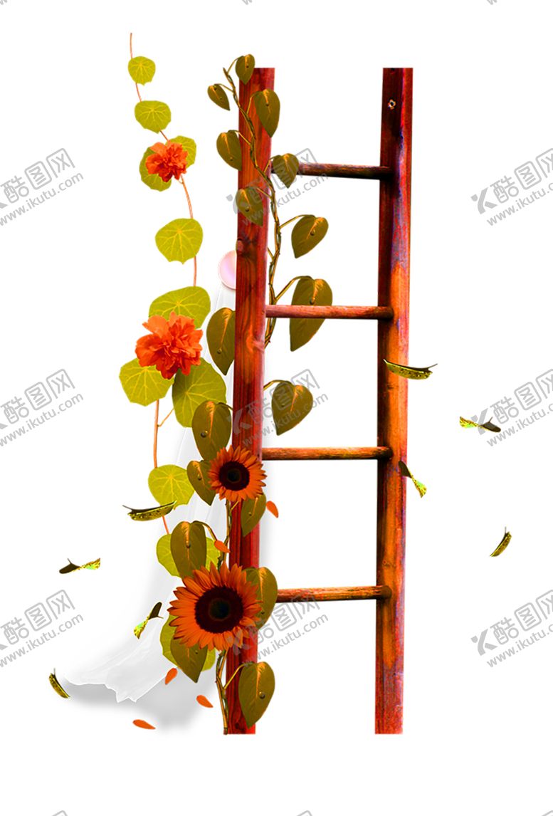 编号：94890309251646469794【酷图网】源文件下载-花素材