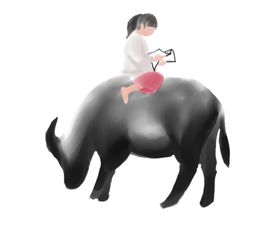 放牛娃