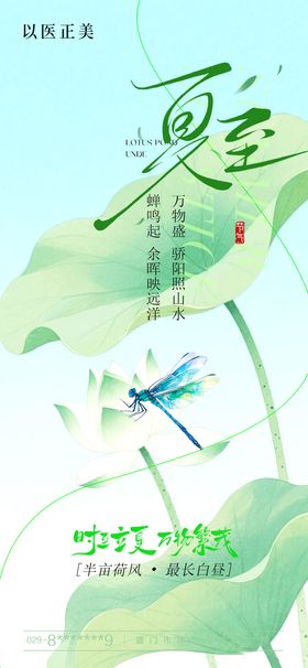 夏至海报