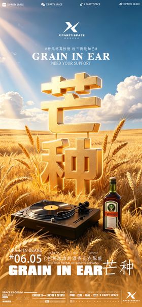 芒种海报