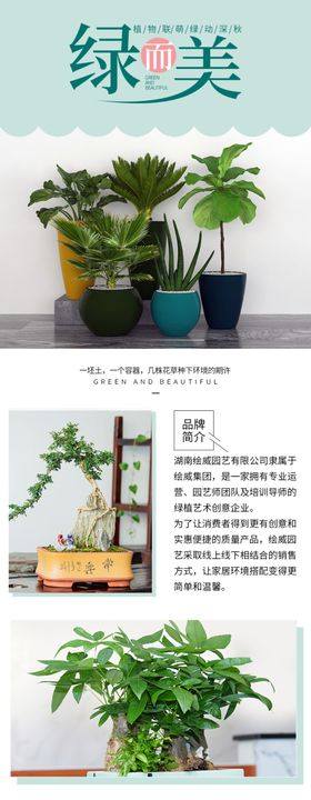 园艺绿植详情页