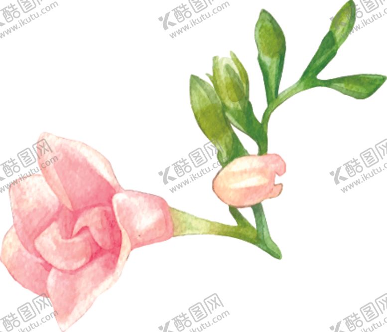 编号：64748105021937501567【酷图网】源文件下载-手绘绿植