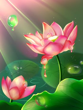 梦觉插画猫头鹰