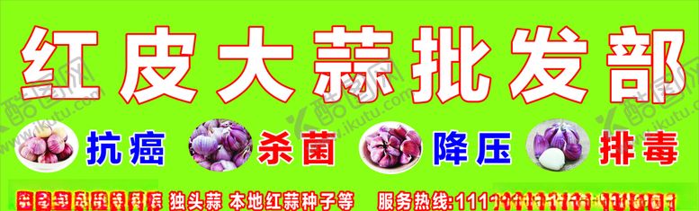 编号：12609109221313334343【酷图网】源文件下载-红皮大蒜海报