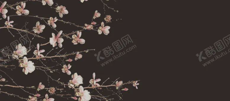 编号：27006407020933206920【酷图网】源文件下载-单边定位花
