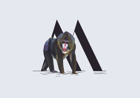字母M