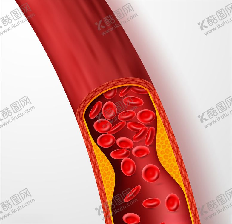 编号：81663410200320114712【酷图网】源文件下载-血管模拟