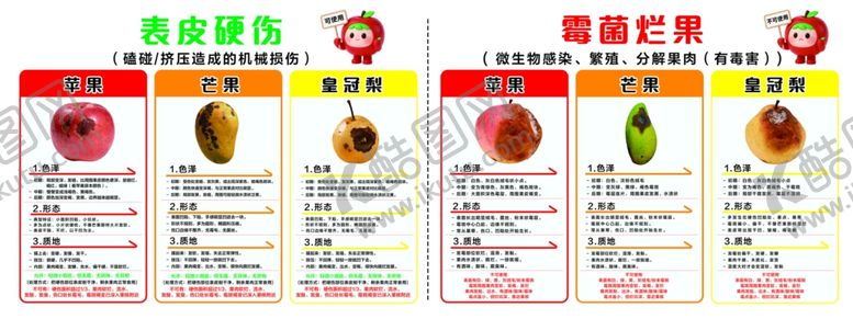 编号：56026305241957408055【酷图网】源文件下载-水果霉菌和表皮硬伤的区别