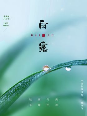 白露节气海报珠传统物料