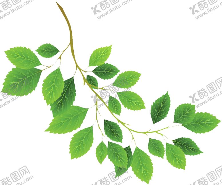 编号：62158309230124512021【酷图网】源文件下载-树叶