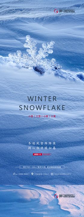 大寒小寒小雪大雪系列海报