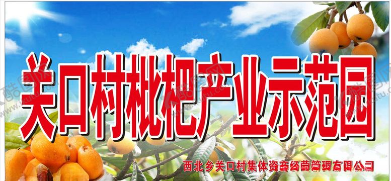 编号：52815106250736237132【酷图网】源文件下载-枇杷产业园宣传