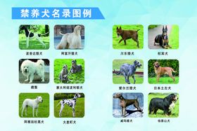 禁养犬名录