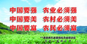 中国要强