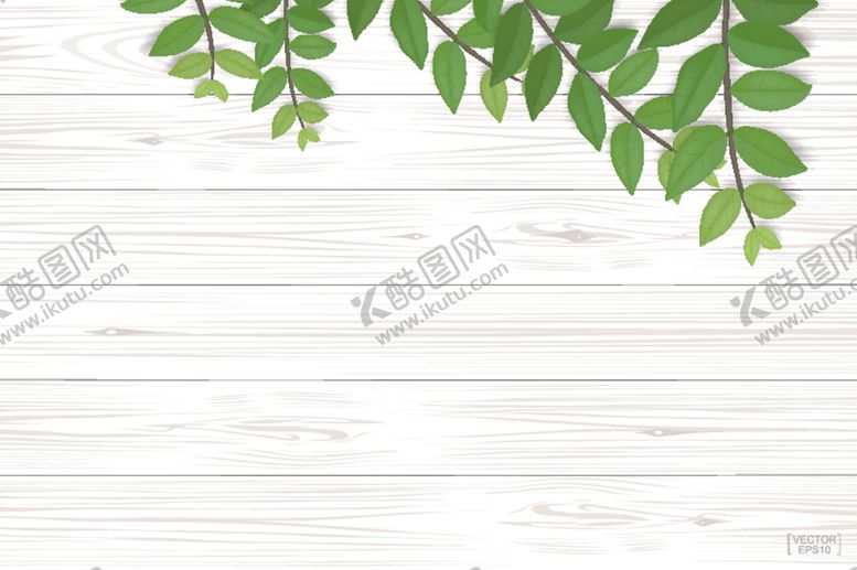 编号：45468109231900256375【酷图网】源文件下载-绿叶背景