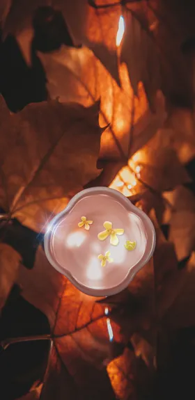 秋分节气酒杯二十四节气地产微信