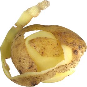 土豆削皮土豆