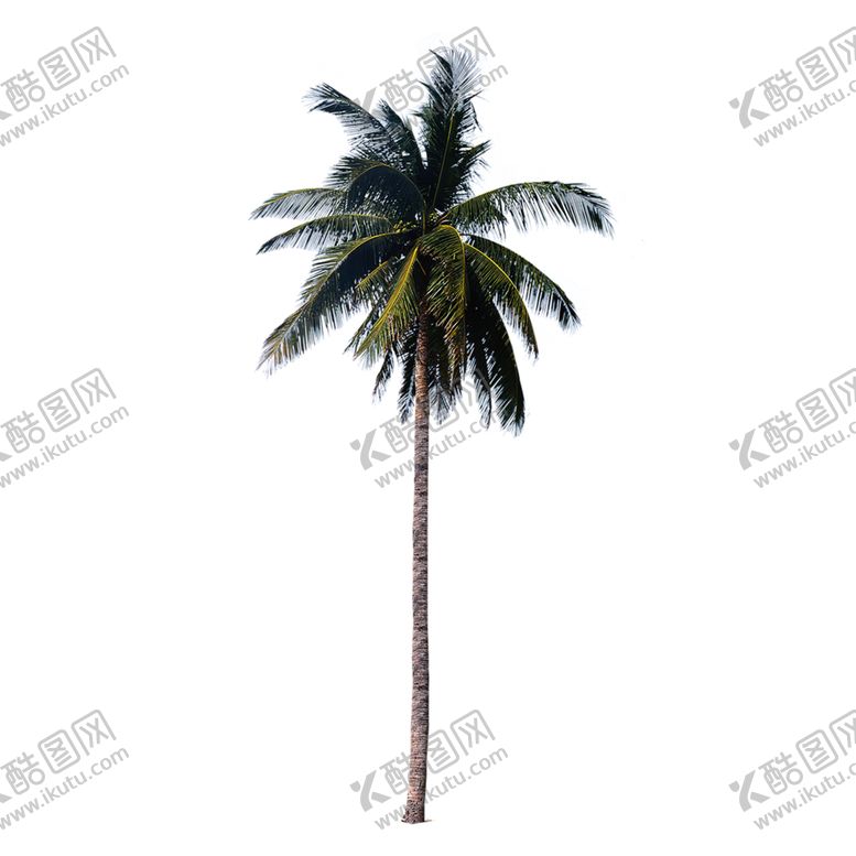 编号：63993409130652529275【酷图网】源文件下载-植物