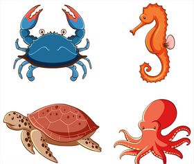 海洋生物