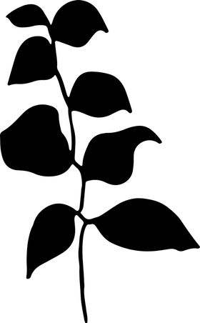 黑白手绘植物