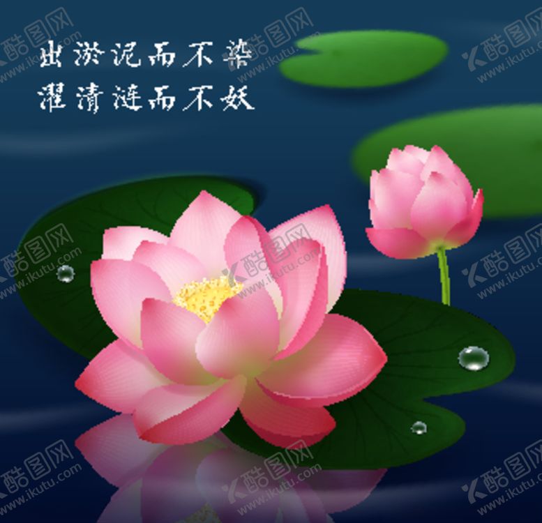编号：32119505182323419821【酷图网】源文件下载-矢量荷花荷叶
