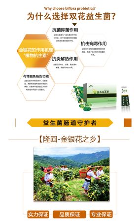 金银花益生菌