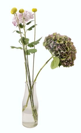 花素材