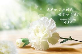 母亲节康乃馨温馨时光主题背景