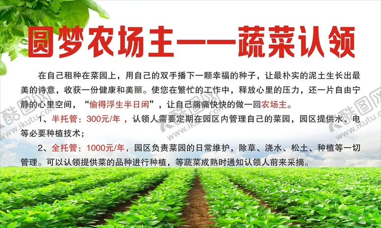 编号：14964911020507546511【酷图网】源文件下载-蔬菜认领