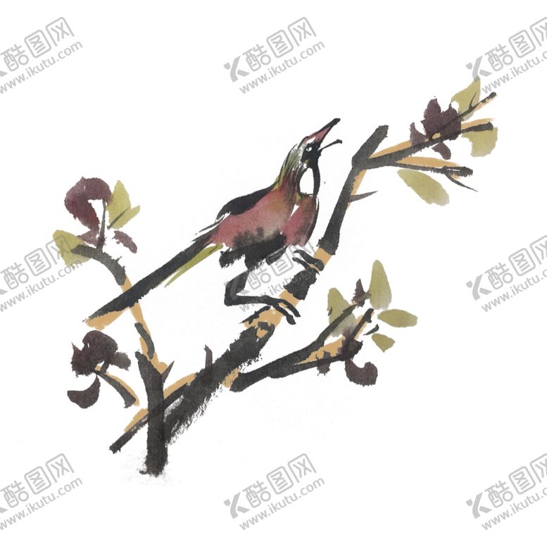编号：96946205070922558640【酷图网】源文件下载-花鸟插画素材