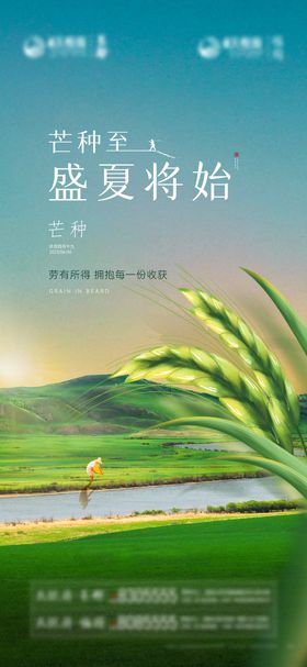 地产芒种节气海报绿色插画二十四