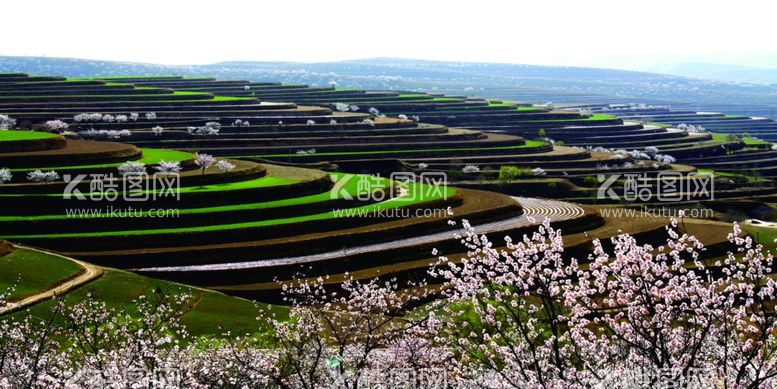 编号：76920211230831084593【酷图网】源文件下载-山区梯田