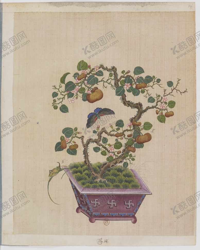 编号：78742704121955168712【酷图网】源文件下载-盆景花鸟