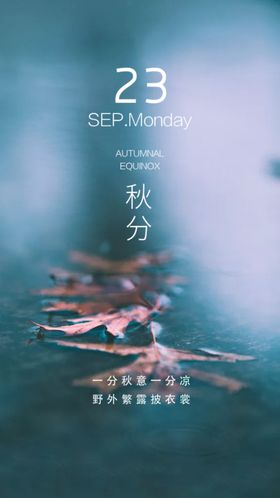 秋分落叶天落叶海报