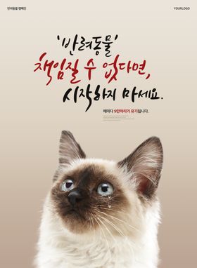 小猫海报