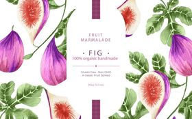 清新无花果插画设计素材