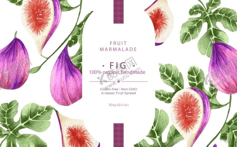 编号：12903009270737419997【酷图网】源文件下载-清新无花果插画设计素材