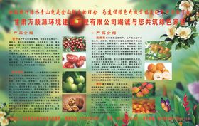 农业有机种植商城