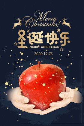 圣诞狂欢圣诞节