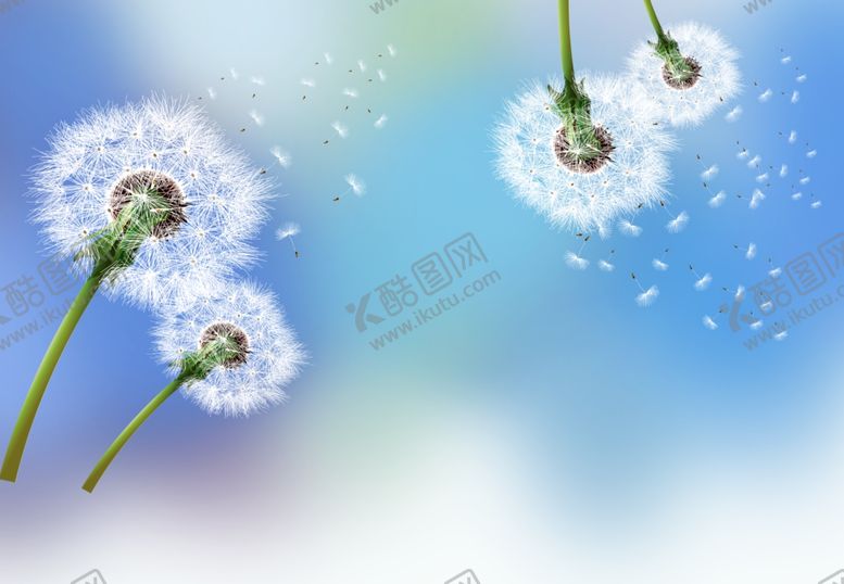 编号：77509709151343333359【酷图网】源文件下载-蒲公英