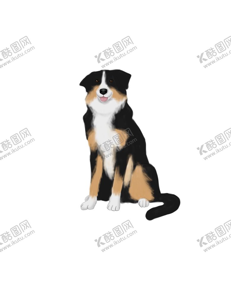 编号：38078509291743383617【酷图网】源文件下载-边牧卡通手绘