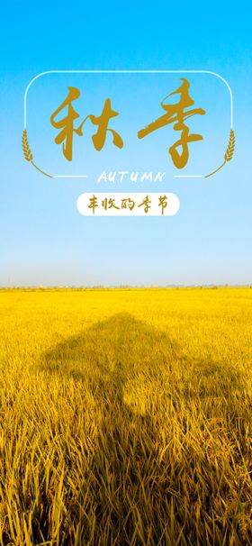 手机壁纸客厅画卡通画绘卡通封面漫画绘