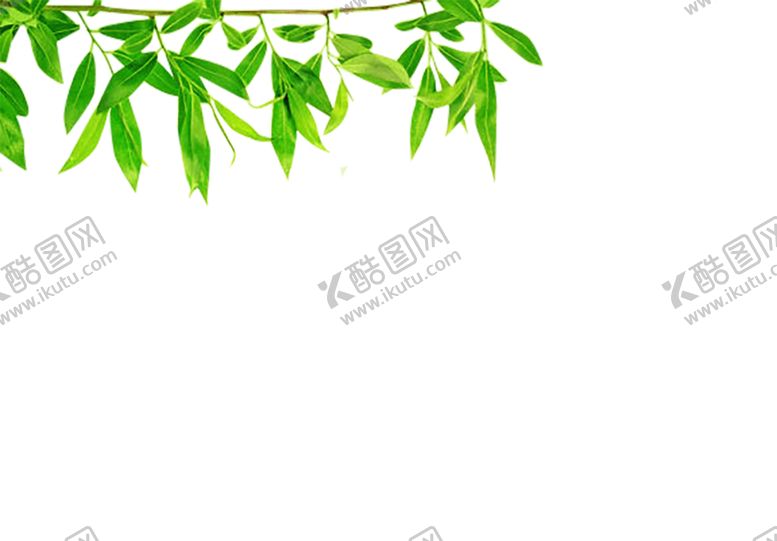 编号：43384009252138367473【酷图网】源文件下载-绿色背景