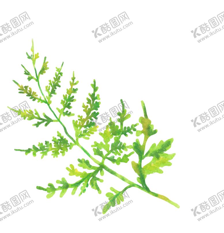 编号：77274909300203113741【酷图网】源文件下载-植物