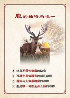 鹿的独特与唯一