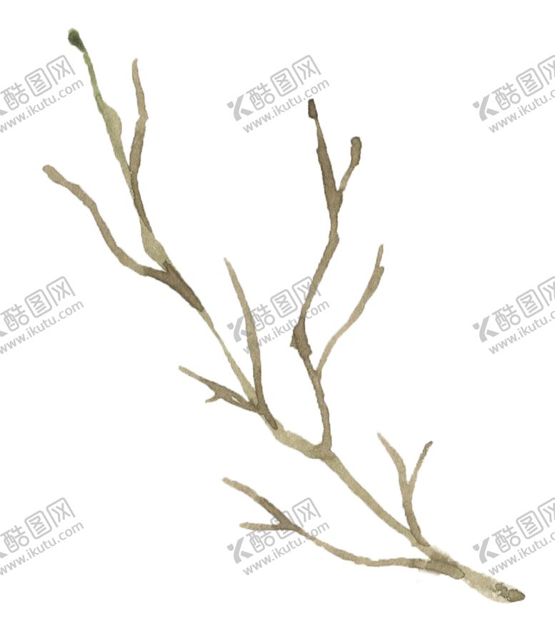 编号：42755105160128176737【酷图网】源文件下载-手绘植物花卉